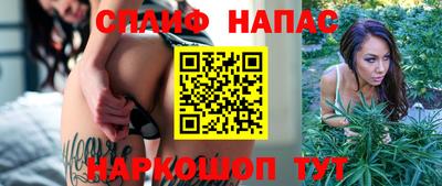 стаф Шебекино