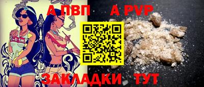 стаф Шебекино