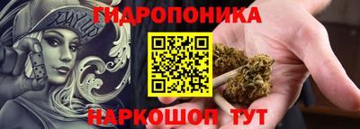 стаф Шебекино