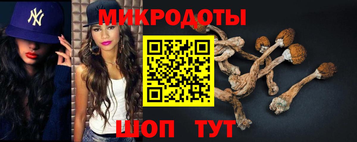 Галлюциногенные грибы Cubensis  Псилоцибиновые грибы GOLDEN TEACHER  Батайск  Вход с VPN 